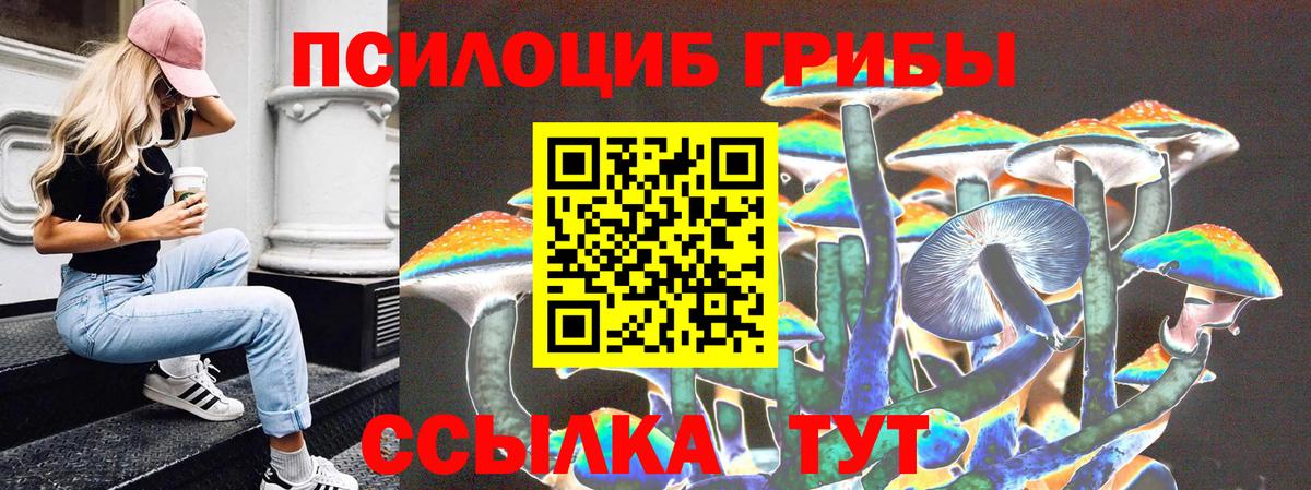 Псилоцибиновые грибы мухоморы Ногинск