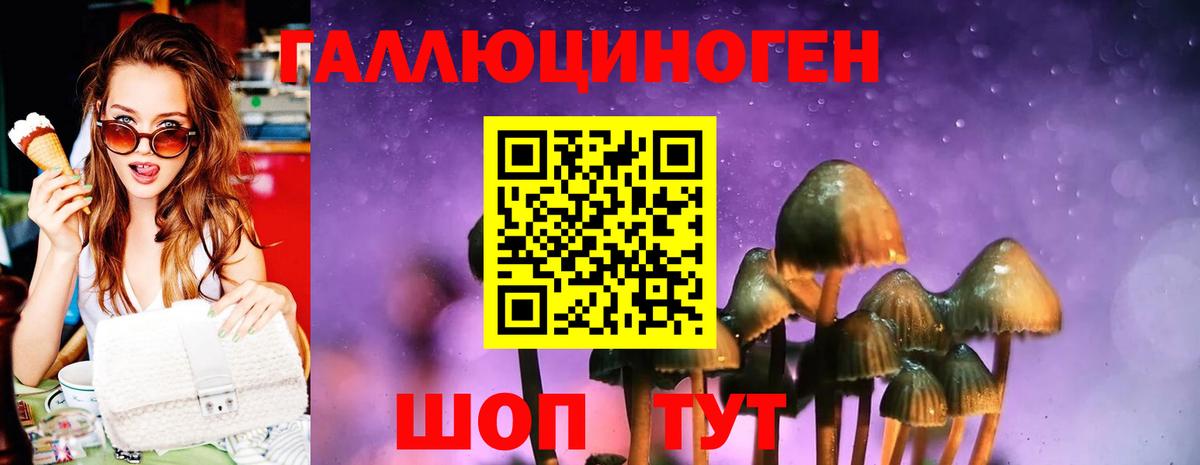 Ногинск  Галлюциногенные грибы Psilocybe  Галлюциногенные грибы MAGIC MUSHROOMS  Вход с VPN 